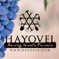 Hayovel