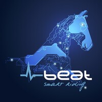 bluerave logo - Similar company to Ebsa Gmbh & Co. Kg