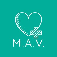 Project M.A.V. logo - Similar company to Schok & Pomp