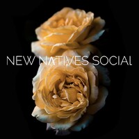 New Natives Social logo - Similar company to Jade Ai
