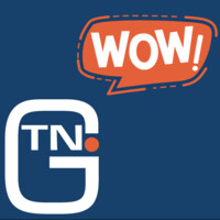 TANAG logo - Similar company to Grupo Idm Soluciones En Imagen