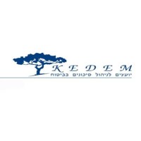 Kedem Insurance Consultant logo - Similar company to Ffla - Friedman Flex Levy Ashkenazi & Co