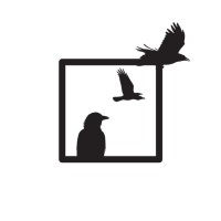 Attic Films logo - Similar company to Attic Lab