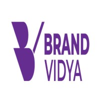 Brand Vidya Pvt. Ltd : Digital Marketing Agency logo - Similar company to Netcube Solutions