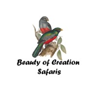 Beauty of Creation Tours & Safaris logo - Similar company to Tofaraa