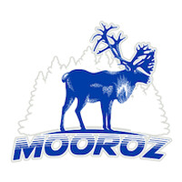 Mooroz logo - Similar company to Integra Diagnostic