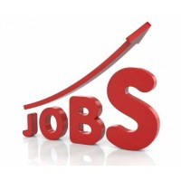 Government Jobs Alerts logo - Similar company to Startup Grind Layyah