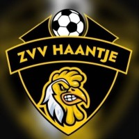 ZVV Haantje logo - Similar company to Public Match