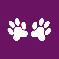 Pawfluence Agency logo - Similar company to Directline Ltd
