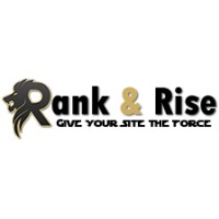 RankNRise logo - Similar company to 27 Logics