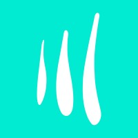 Saúl Sánchez Agency — Diseño Web & Marketing Digital logo - Similar company to 🌐 Idimad360 | Marketing Digital & Tecnología