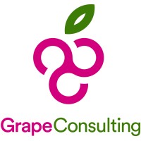 Grape Consulting logo - Similar company to Beyond Intelligence