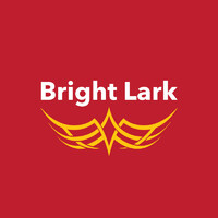 Bright Lark Marketing logo - Similar company to Brightlark