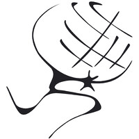 Sdgi Consulting - Sweden