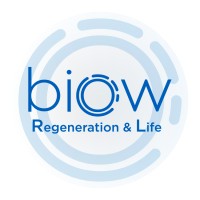 Biow Costa Rica logo - Similar company to Boca Roja
