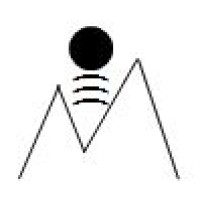Peak Insights LLC logo - Similar company to Good People Technologies Llc