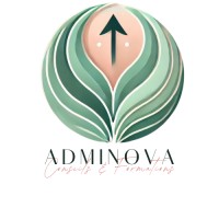 Adminova logo - Similar company to Krishna Gupta & Associates