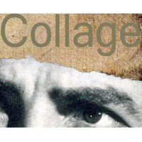 Doug Stapleton: Collage Artist logo - Similar company to Francesca Sacco - Collage Artist