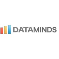 DataMinds logo - Similar company to Dataminds