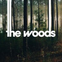 The Woods Agency logo - Similar company to Saymatt®