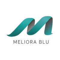 Meliora Blu logo - Similar company to Az Holdings