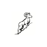 Southbury logo - Similar company to Online Distribution