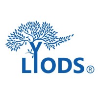 Lyodssoft logo - Similar company to Brauge