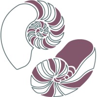 Centrum voor Transitie logo - Similar company to Traumanet