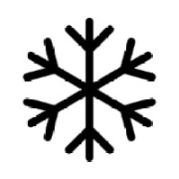 SnowFlakes logo - Similar company to Datagenic