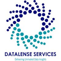 Datalense Services logo - Similar company to B2B Data Guy