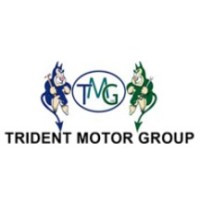 TRIDENT MOTOR GROUP LIMITED