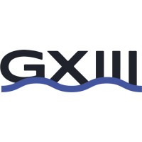 Gemini XIII logo - Similar company to North Eastern Cleaning & Restoration