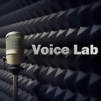 Voice Lab Ltd. logo - Similar company to Voicesuk®