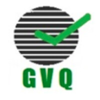 Great Value Quality Services logo - Similar company to Bigberry Techno Solutions Llp