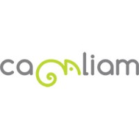 Camaliam Engine Software logo - Similar company to Cetus - Software Com Excelência E Arte