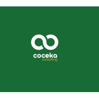 COCEKA CONSULTING logo - Similar company to Singawe Innovative