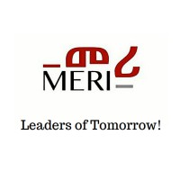 MERI Leadership logo - Similar company to Seifu