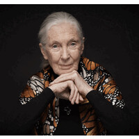 The Jane Goodall Institute UK logo - Similar company to Neutralflight
