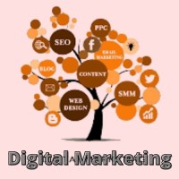 Digital Marketing by Tamanna (Tanni) logo - Similar company to Kareem Sultan | Vfx Studio