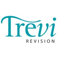 Trevi Revision logo - Similar company to Baker Tilly Guide Ab