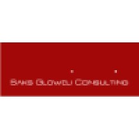 Saks Gloweli Consulting