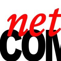 netCOMPONENTS logo - Similar company to Net-Components