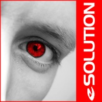 eSolution France logo - Similar company to Digisec S.A.