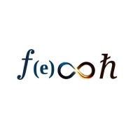 Feooh logo - Similar company to Nevo Network