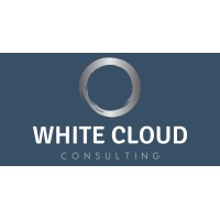 White Cloud Consulting Ltd logo - Similar company to Digility Ltd