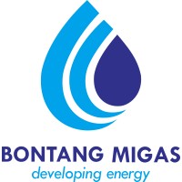 PT Bontang Migas Dan Energi (Perseroda) logo - Similar company to Bontang Techno Hub (Bth)