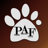 PAF - Production Audiovisuelle Familiale logo - Similar company to Dream In Progress Association De Production Audiovisuelle