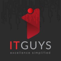 IT Guys logo - Similar company to It Monkey