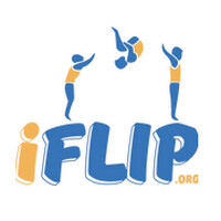 iFlip.org logo - Similar company to Ace Ads