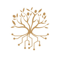 Algebra Global Technologies logo - Similar company to Emoda Software
